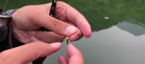 钓鱼技巧（钓鱼新手必读！学会正确绑线，让你的路亚钓鱼更加顺利）