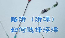 以蓝山钓鱼路亚滑漂如何选择钓线（钓线选择关键要素及技巧）