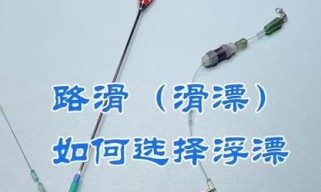 以蓝山钓鱼路亚滑漂如何选择钓线（钓线选择关键要素及技巧）