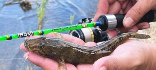 如何使用路亚溪流钓鱼？（探讨最佳饵料选择和使用技巧）