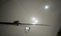 选择路亚还是台钓？新手钓鱼技巧指南（从钓具选择到技巧应用，帮你决定最适合自己的钓法）