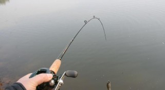 三河口钓鱼之路亚技巧大揭秘（探寻三河口钓鱼新玩法，路亚钓法助你大获丰收）