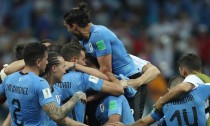 乌拉圭进球庆祝（乌拉圭球迷的激情释放和情感表达）