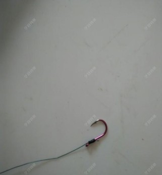 路亚钓鱼绑浮标技巧解析（从选购到绑定，打造高效路亚钓鱼浮标体系）