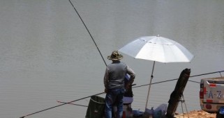 以路亚偷驴钓鱼（揭开路亚钓鱼的奥秘与技巧，助你成为一名高级钓鱼者）