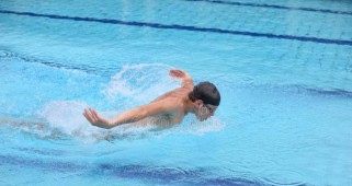 游泳海豚腿方法和技巧（小学生学会游泳海豚腿的关键步骤和要领）