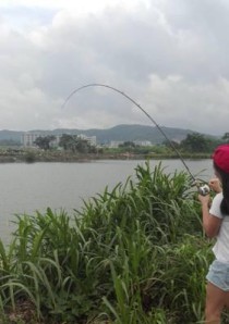 在小河沟里用路亚钓鱼的乐趣（探索小河沟的宝藏和技巧，畅享路亚钓鱼的精彩时刻）