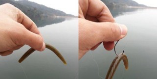 选择适合的饵料，钓鱼更得心应手（以路亚为例，探讨合适的饵料选取技巧）