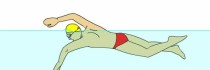 初学游泳必备技巧教学（掌握游泳的关键要点，快速提高游泳技能）
