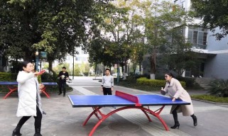 乒乓球科学技巧解析（掌握乒乓球科学技巧，提升球技水平）