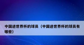 中国历史几几年进入世界杯（中国足球追逐世界杯的奋斗历程）