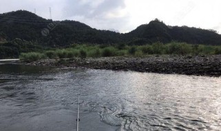 浑浊水域下的路亚钓鱼技巧（掌握关键技巧，收获丰硕战果）