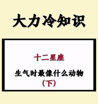 十二星座足球小技巧大揭秘（探寻星座特质与足球技巧的奇妙结合）