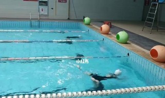 游泳起步技巧动作教学（掌握关键技巧，轻松学会游泳）