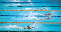 中考体育游泳秘诀技巧分析（掌握正确游泳技巧，提高中考成绩）