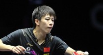 威海乒乓球世界杯男子（中国选手斩获佳绩，为国争光再添荣耀）