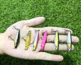 探讨多地禁止路亚假饵钓鱼的影响与意义（保护渔资源，维护生态平衡的关键举措）