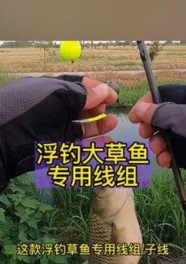 掌握路亚海竿钓鱼的关键技巧（钓鱼高手教你如何使用路亚海竿捕获大鱼）
