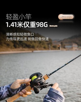 微物路亚竿波爬水洼钓鱼技巧大揭秘（掌握微物路亚竿波爬水洼钓鱼技巧，轻松提升钓获率）