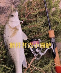 如何选择合适的路亚鱼杆进行钓鱼（探讨选购路亚鱼杆的关键因素及合适长度）