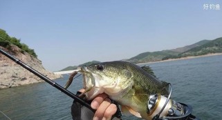 路亚钓鱼人选择适宜天气预报的重要性（掌握天气变化，提高路亚钓鱼成功率）