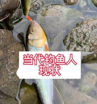河钓中的路亚饵之道（掌握正确的饵料选择技巧，让你的钓鱼更加有成就感）
