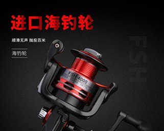 路亚钓鱼与轮子的关系探究（解析路亚钓鱼中轮子的重要性及选购要点）