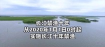 以鲁湖路亚钓鱼乐趣无穷（探索以鲁湖路亚钓鱼的绝佳体验）