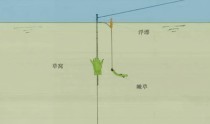 浮标在路亚钓鱼线组中的必要性（为什么在路亚钓鱼线组中需要使用浮标？）