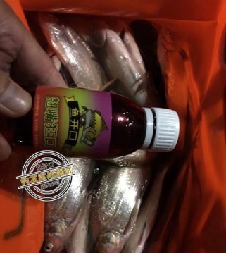 急水流路亚钓鱼的最佳饵料选择（提升钓鱼效果的关键饵料及技巧）