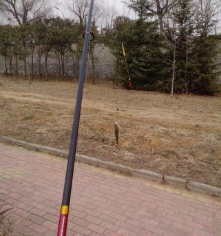 小孩是否适合使用路亚竿钓鱼？（探讨小孩使用路亚竿钓鱼的利与弊）