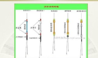 夏日最佳钓鱼技巧——路亚钓法完全指南（探秘夏季路亚钓鱼技巧，教你钓鱼技巧无往不利）