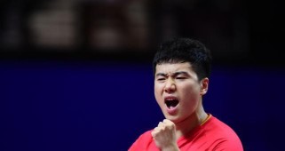 中国乒乓球传奇（乒乓球、冠军、荣耀、培养、团队精神）