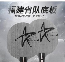 乒乓球的横拍技巧，让你成为高手（从基础到高级技巧，轻松掌握横拍技术）