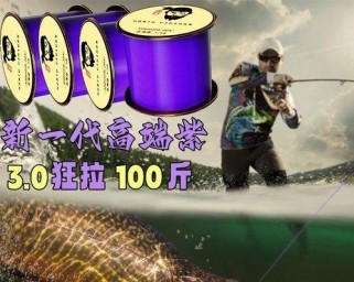台钓还是路亚，探讨钓鱼比赛中的最佳选择（解析台钓和路亚在钓鱼比赛中的优势与劣势）