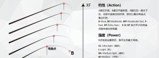探究以路亚钓鱼的沉底与钓浮技巧（传授有效的路亚钓鱼技巧，让你成为高手）