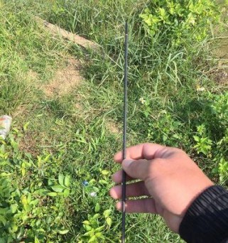 草鱼钓鱼的绝佳利器——路亚杆的使用技巧（掌握路亚杆技巧，提升草鱼钓鱼效果）