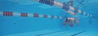 游泳转弯技巧——让你游得更灵活（通过掌握转弯技巧，游泳技能全面提升）